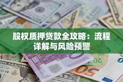 武汉股权质押贷款全攻略：流程详解与风险预警