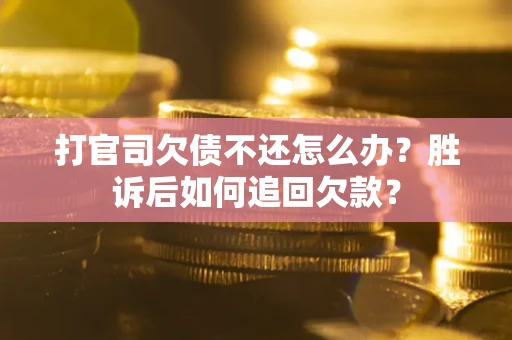 武汉打官司欠债不还怎么办？胜诉后如何追回欠款？