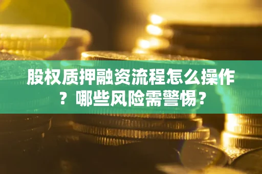 武汉股权质押融资流程怎么操作？哪些风险需警惕？