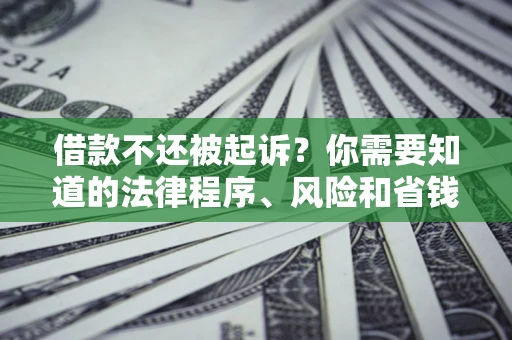 武汉借款不还被起诉？你需要知道的法律程序、风险和省钱技巧