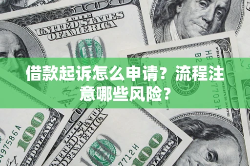 武汉借款起诉怎么申请？流程注意哪些风险？